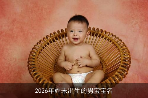 2026年姓未出生的男宝宝名 2026年姓未出生的男宝宝名