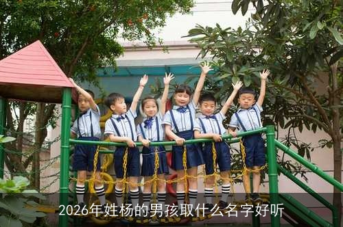 2026年姓杨的男孩取什么名字好听 2026年姓杨的男孩取什么名字好听
