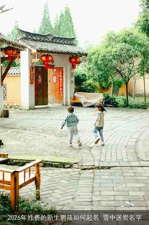 2026年姓费的新生男孩如何起名 雪中送炭名字 2026年姓费的新生男孩如何起名 雪中送炭名字