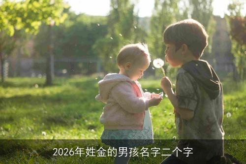 2026年姓金的男孩名字二个字 2026年姓金的男孩名字二个字