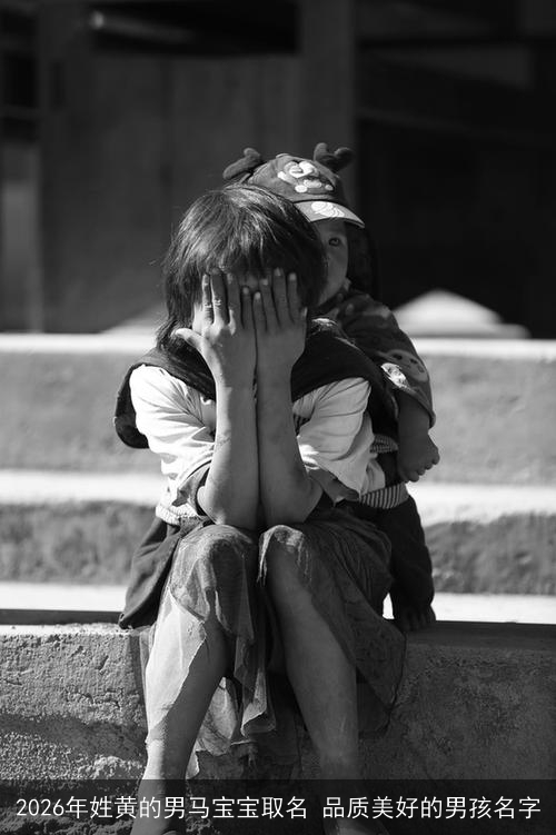 2026年姓黄的男马宝宝取名 品质美好的男孩名字 2026年姓黄的男马宝宝取名 品质美好的男孩名字