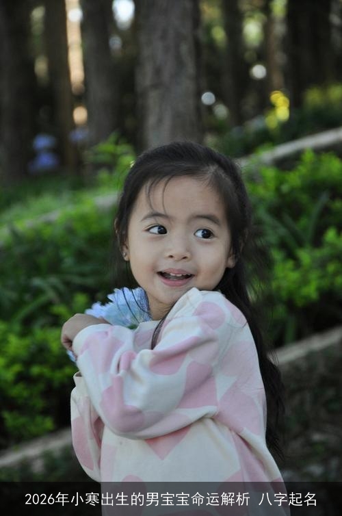 2026年小寒出生的男宝宝命运解析 八字起名 2026年小寒出生的男宝宝命运解析 八字起名