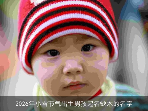 2026年小雪节气出生男孩起名缺木的名字 2026年小雪节气出生男孩起名缺木的名字
