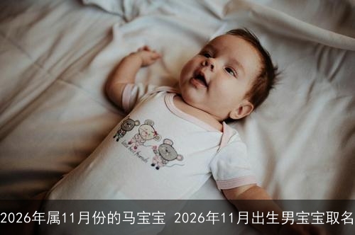 2026年属11月份的马宝宝 2026年11月出生男宝宝取名 2026年属11月份的马宝宝 2026年11月出生男宝宝取名