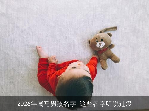2026年属马男孩名字 这些名字听说过没 2026年属马男孩名字 这些名字听说过没