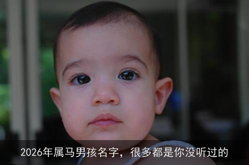 2026年属马男孩名字,很多都是你没听过的 2026年属马男孩名字,很多都是你没听过的