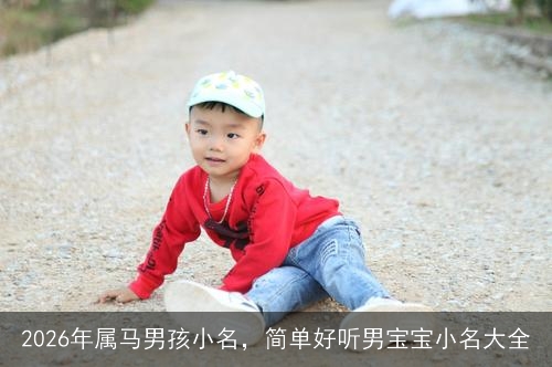 2026年属马男孩小名,简单好听男宝宝小名大全 2026年属马男孩小名,简单好听男宝宝小名大全