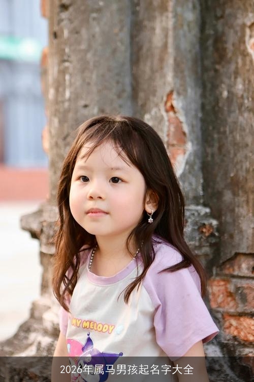 2026年属马男孩起名字大全 2026年属马男孩起名字大全