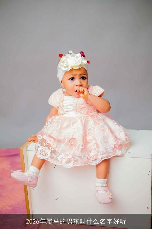 2026年属马的男孩叫什么名字好听 2026年属马的男孩叫什么名字好听