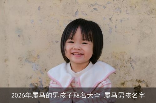 2026年属马的男孩子取名大全 属马男孩名字 2026年属马的男孩子取名大全 属马男孩名字