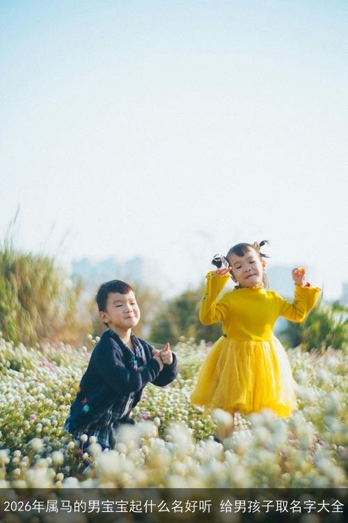 2026年属马的男宝宝起什么名好听 给男孩子取名字大全 2026年属马的男宝宝起什么名好听 给男孩子取名字大全