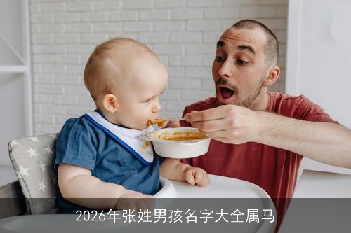 2026年张姓男孩名字大全属马 2026年张姓男孩名字大全属马