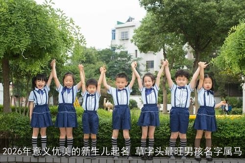 2026年意义优美的新生儿起名 草字头最旺男孩名字属马 2026年意义优美的新生儿起名 草字头最旺男孩名字属马
