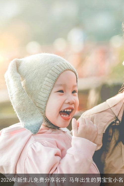 2026年新生儿免费分享名字 马年出生的男宝宝小名 2026年新生儿免费分享名字 马年出生的男宝宝小名