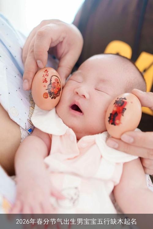 2026年春分节气出生男宝宝五行缺木起名 2026年春分节气出生男宝宝五行缺木起名