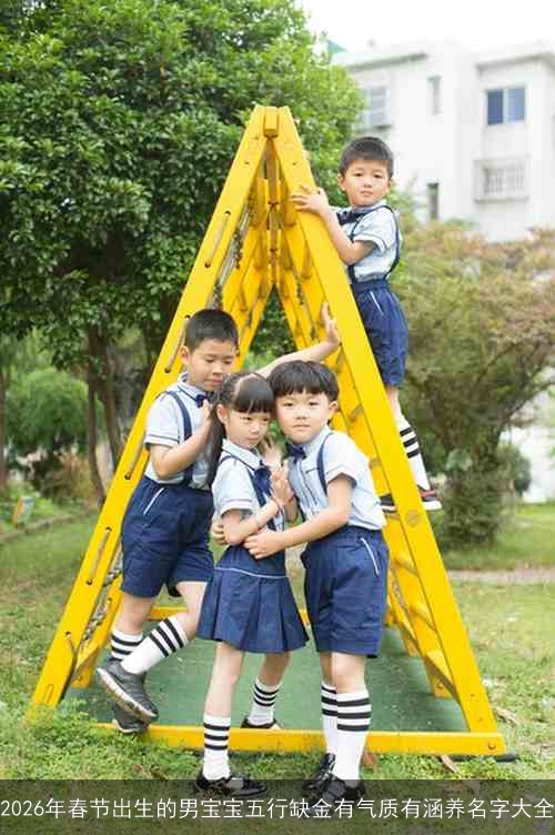 2026年春节出生的男宝宝五行缺金有气质有涵养名字大全 2026年春节出生的男宝宝五行缺金有气质有涵养名字大全