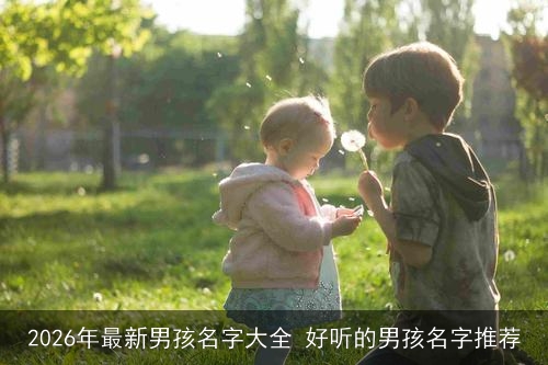 2026年最新男孩名字大全 好听的男孩名字推荐 2026年最新男孩名字大全 好听的男孩名字推荐