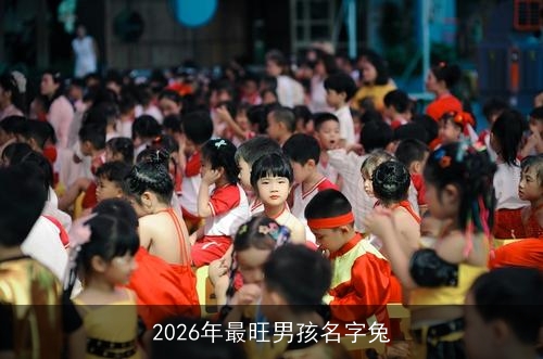 2026年最旺男孩名字兔 2026年最旺男孩名字兔
