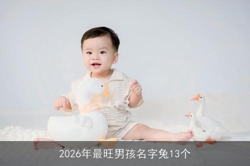 2026年最旺男孩名字兔13个 2026年最旺男孩名字兔13个