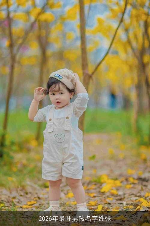 2026年最旺男孩名字姓张 2026年最旺男孩名字姓张