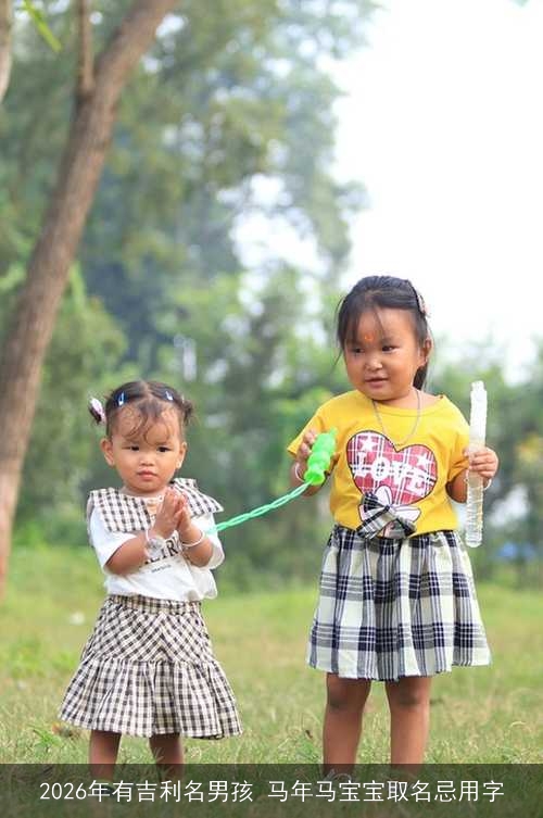2026年有吉利名男孩 马年马宝宝取名忌用字 2026年有吉利名男孩 马年马宝宝取名忌用字