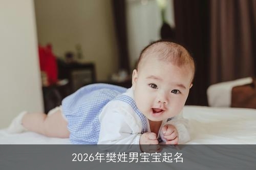 2026年樊姓男宝宝起名 2026年樊姓男宝宝起名