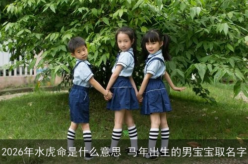 2026年水虎命是什么意思 马年出生的男宝宝取名字 2026年水虎命是什么意思 马年出生的男宝宝取名字