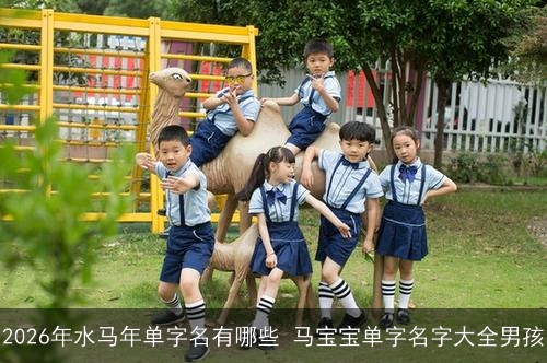 2026年水马年单字名有哪些 马宝宝单字名字大全男孩 2026年水马年单字名有哪些 马宝宝单字名字大全男孩