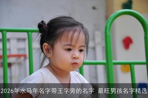2026年水马年名字带王字旁的名字 最旺男孩名字精选 2026年水马年名字带王字旁的名字 最旺男孩名字精选