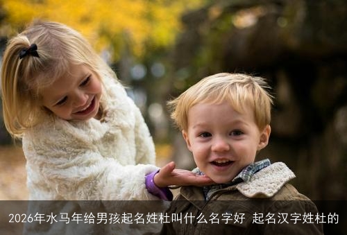 2026年水马年给男孩起名姓杜叫什么名字好 起名汉字姓杜的 2026年水马年给男孩起名姓杜叫什么名字好 起名汉字姓杜的