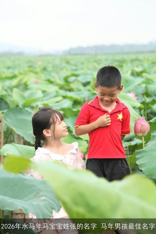 2026年水马年马宝宝姓张的名字 马年男孩最佳名字 2026年水马年马宝宝姓张的名字 马年男孩最佳名字
