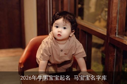 2026年牛男宝宝起名 马宝宝名字库 2026年牛男宝宝起名 马宝宝名字库