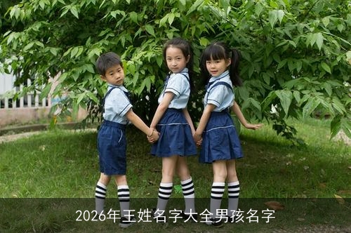 2026年王姓名字大全男孩名字 2026年王姓名字大全男孩名字