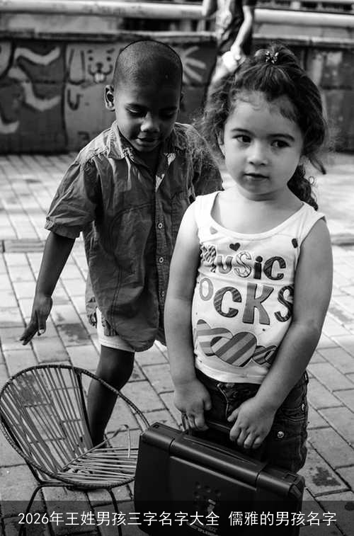 2026年王姓男孩三字名字大全 儒雅的男孩名字 2026年王姓男孩三字名字大全 儒雅的男孩名字