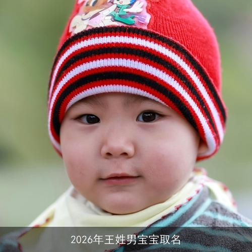 2026年王姓男宝宝取名 2026年王姓男宝宝取名
