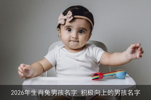 2026年生肖兔男孩名字 积极向上的男孩名字 2026年生肖兔男孩名字 积极向上的男孩名字