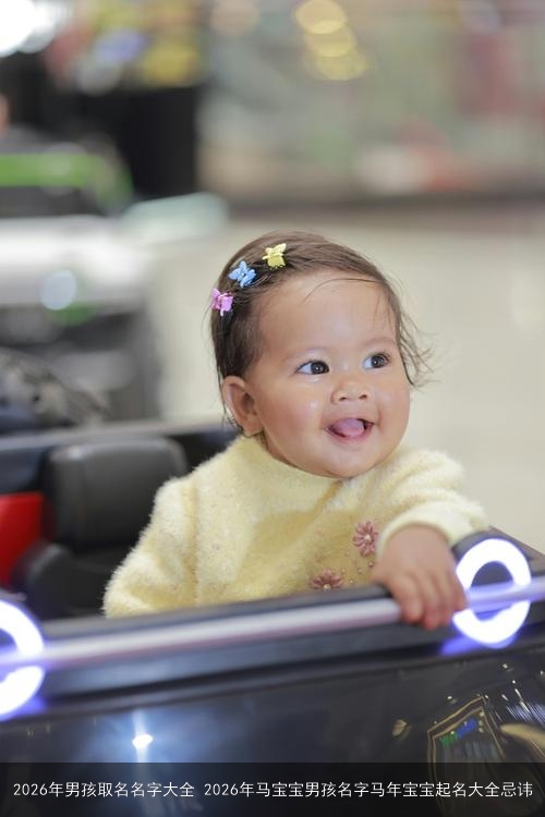 2026年男孩取名名字大全 2026年马宝宝男孩名字马年宝宝起名大全忌讳 2026年男孩取名名字大全 2026年马宝宝男孩名字马年宝宝起名大全忌讳