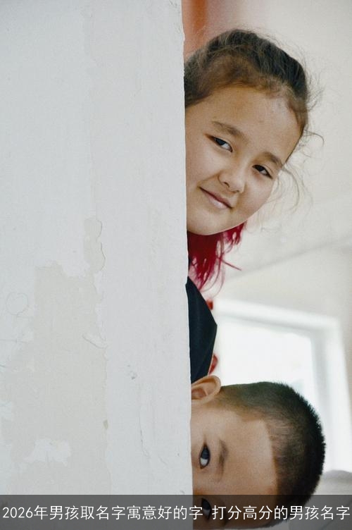 2026年男孩取名字寓意好的字 打分高分的男孩名字 2026年男孩取名字寓意好的字 打分高分的男孩名字