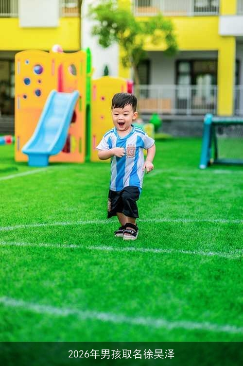 2026年男孩取名徐昊泽 2026年男孩取名徐昊泽