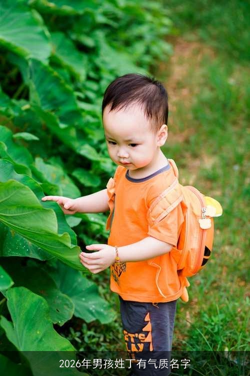 2026年男孩姓丁有气质名字 2026年男孩姓丁有气质名字