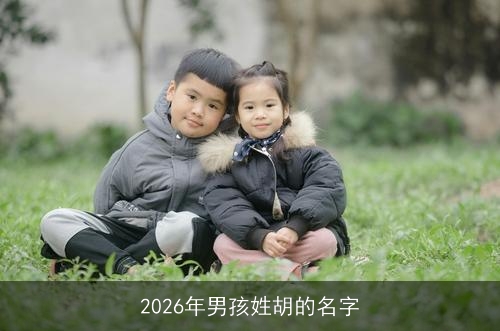 2026年男孩姓胡的名字 2026年男孩姓胡的名字