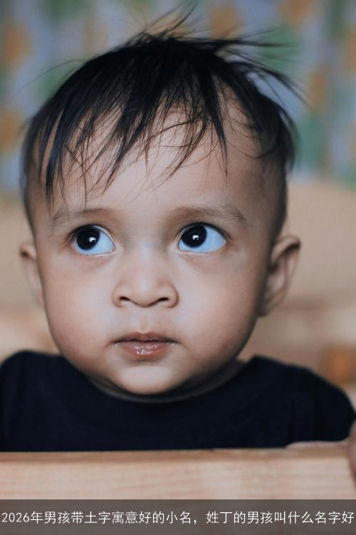 2026年男孩带土字寓意好的小名,姓丁的男孩叫什么名字好 2026年男孩带土字寓意好的小名,姓丁的男孩叫什么名字好