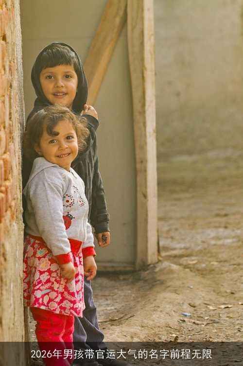 2026年男孩带官运大气的名字前程无限 2026年男孩带官运大气的名字前程无限