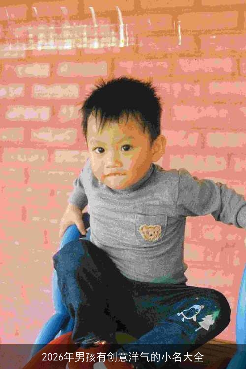 2026年男孩有创意洋气的小名大全 2026年男孩有创意洋气的小名大全