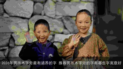 2026年男孩木字旁最有涵养的字 推荐男孩木字旁的字有哪些字寓意好 2026年男孩木字旁最有涵养的字 推荐男孩木字旁的字有哪些字寓意好