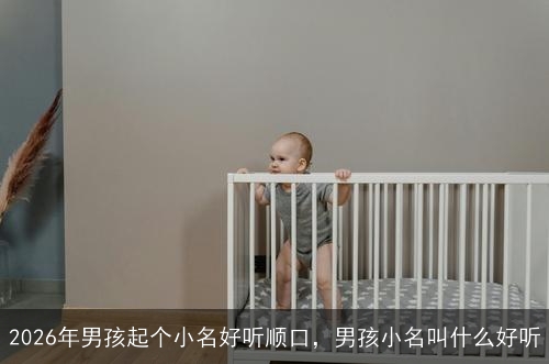 2026年男孩起个小名好听顺口,男孩小名叫什么好听 2026年男孩起个小名好听顺口,男孩小名叫什么好听