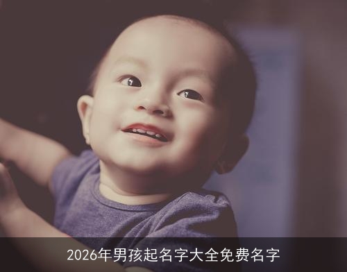 2026年男孩起名字大全免费名字 2026年男孩起名字大全免费名字