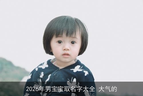 2026年男宝宝取名字大全 大气的 2026年男宝宝取名字大全 大气的