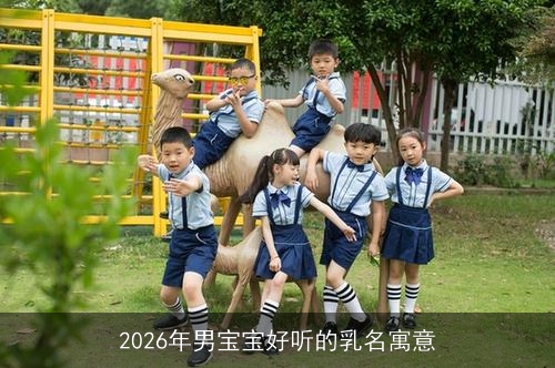 2026年男宝宝好听的乳名寓意 2026年男宝宝好听的乳名寓意