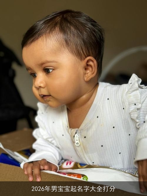 2026年男宝宝起名字大全打分 2026年男宝宝起名字大全打分